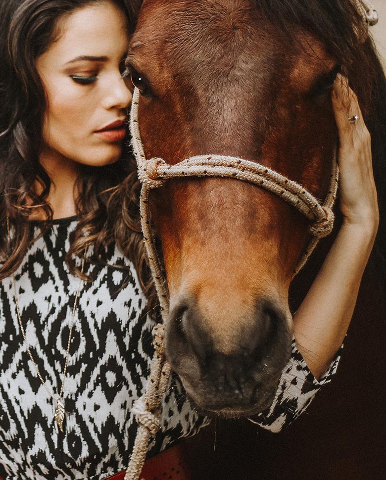 horse2-gallery-pic10